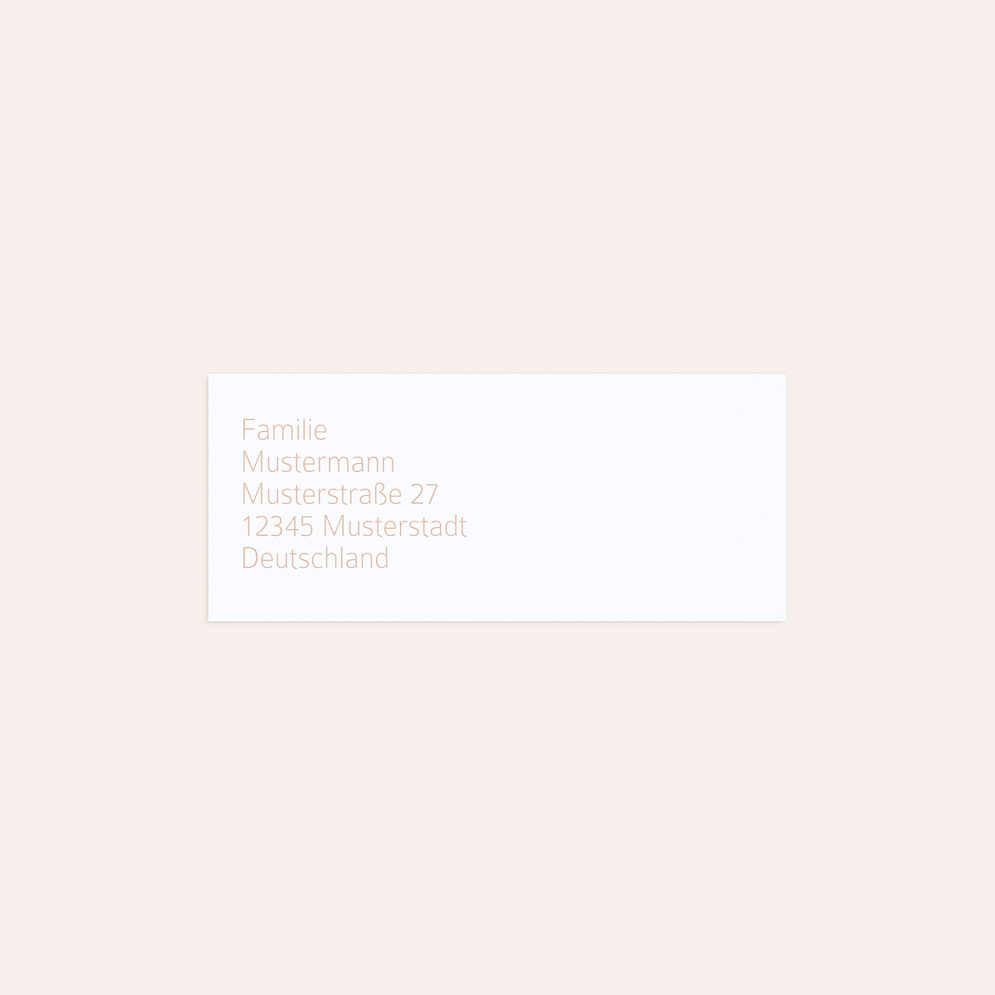 Productafbeelding 13