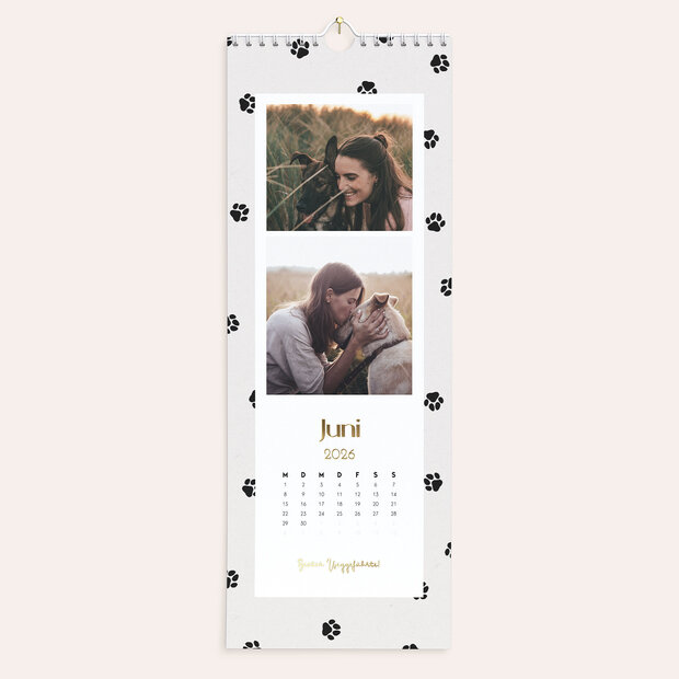 Fotokalender - Pfötchen