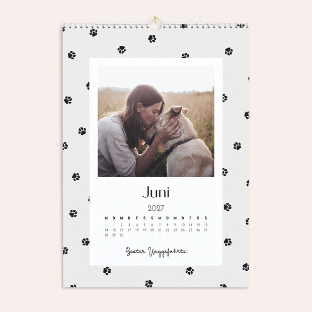 Fotokalender - Pfötchen