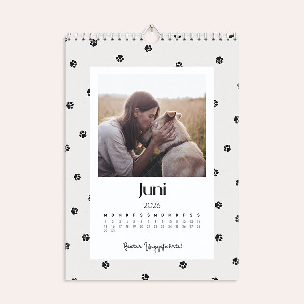 Fotokalender - Pfötchen