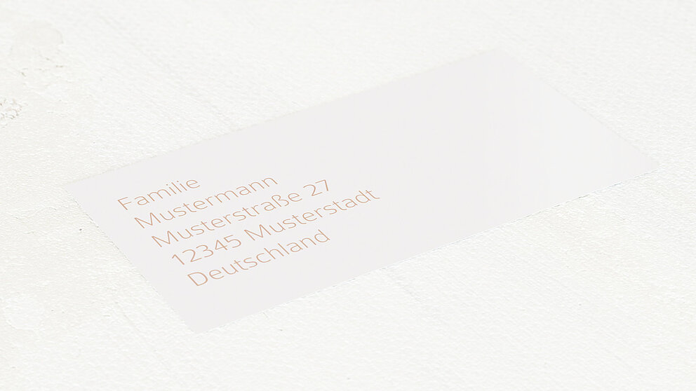 Productafbeelding 15