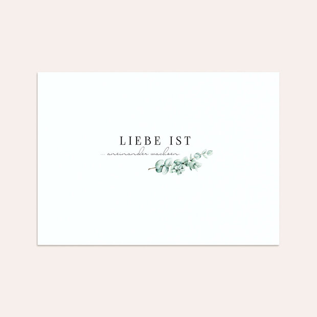 Umschlag mit Design Hochzeit - Eucaliptus love