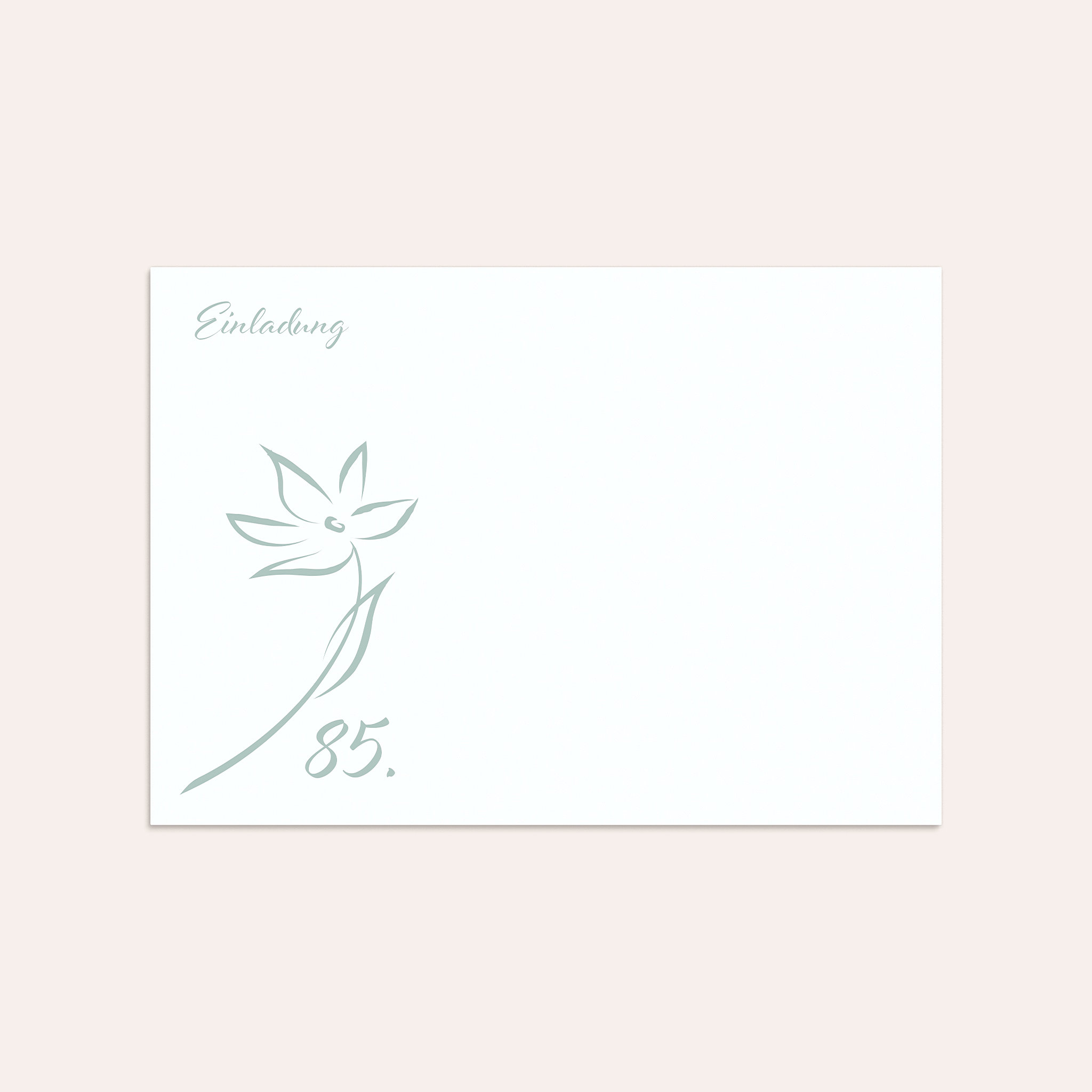 Productafbeelding 7
