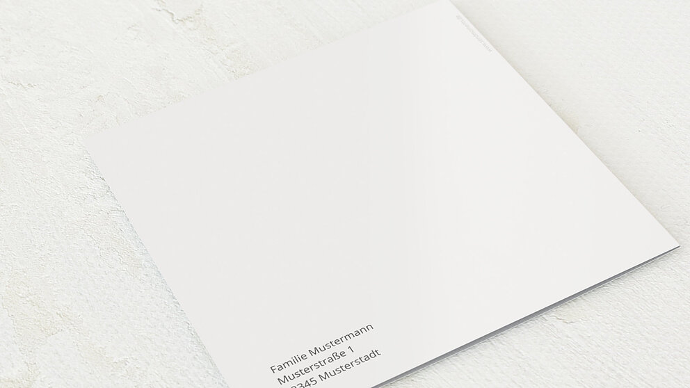 Productafbeelding 12