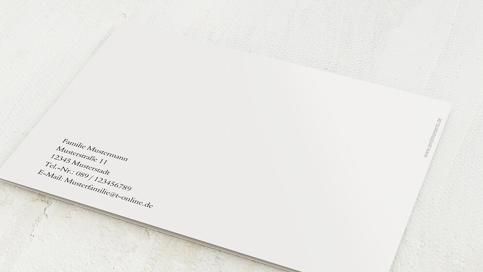 Productafbeelding 12