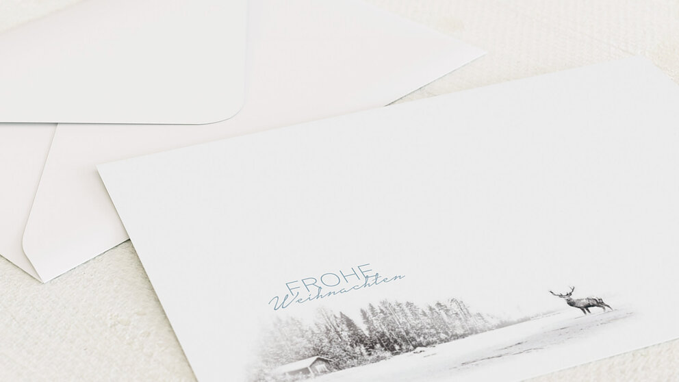 Productafbeelding 12