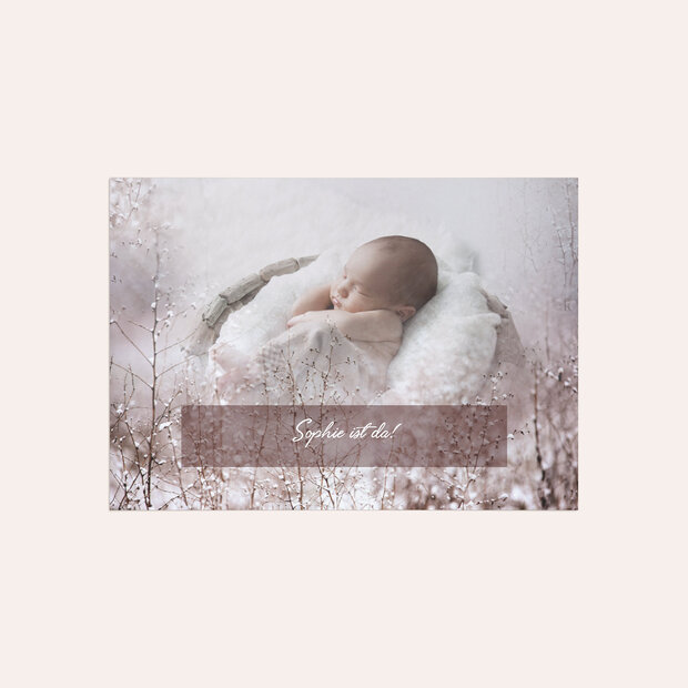 Geburtskarten - Wunderland