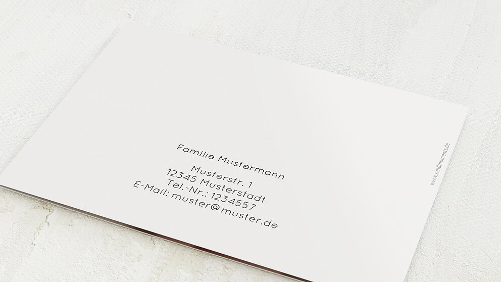 Productafbeelding 12