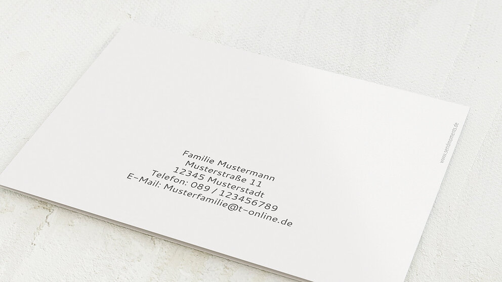 Productafbeelding 12