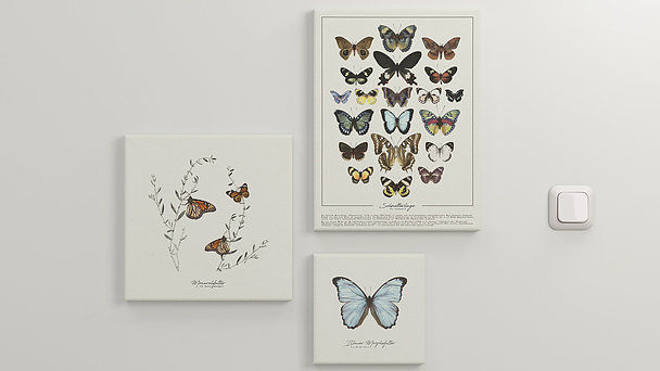Wandbilder - Welt der Schmetterlinge