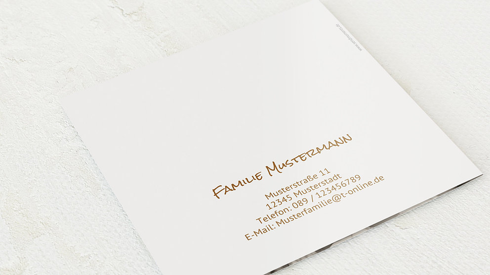 Productafbeelding 12