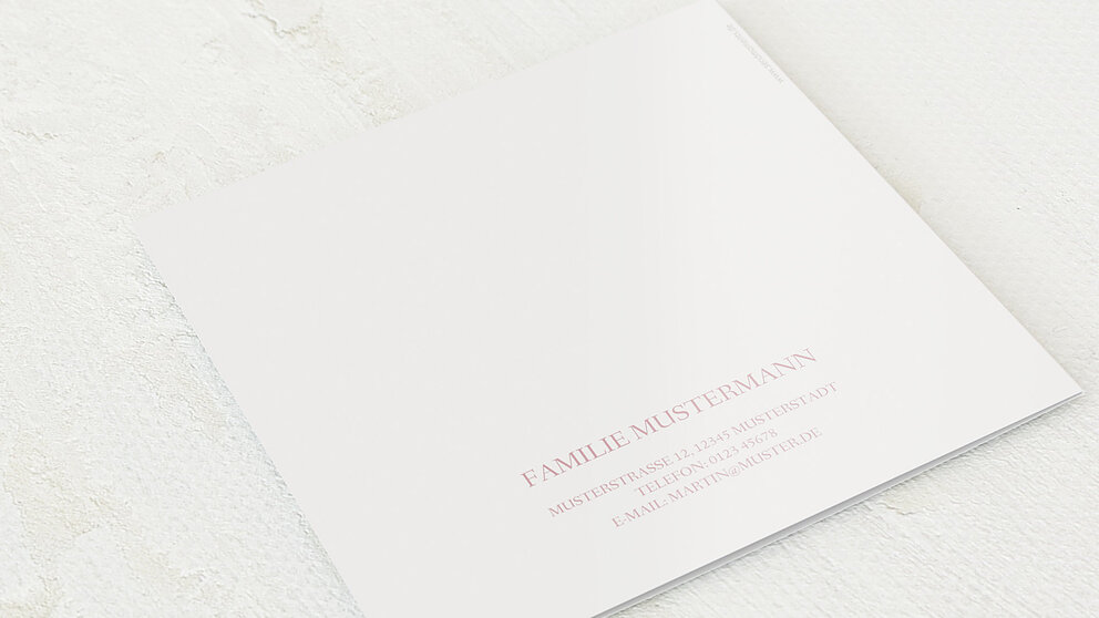 Productafbeelding 12