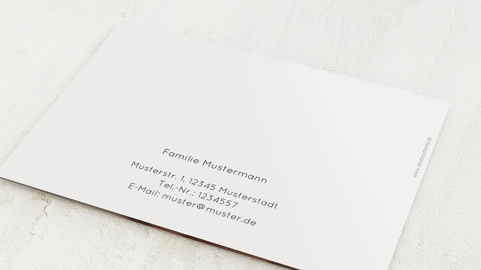 Productafbeelding 12