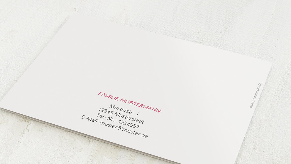 Productafbeelding 12