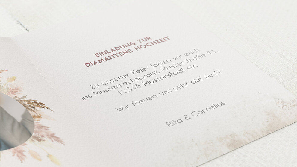 Productafbeelding 5