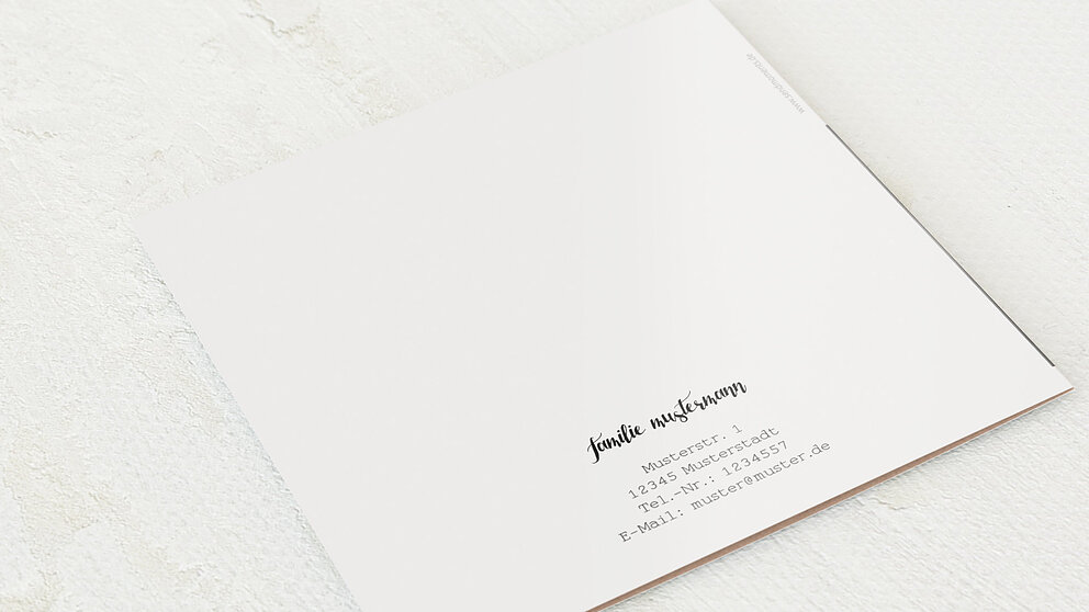 Productafbeelding 12