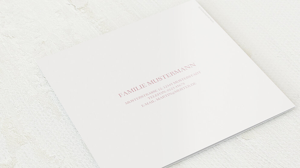 Productafbeelding 12