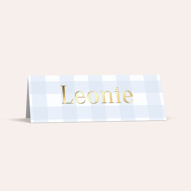 Tischkarten - Sweet Blue Gingham Pattern