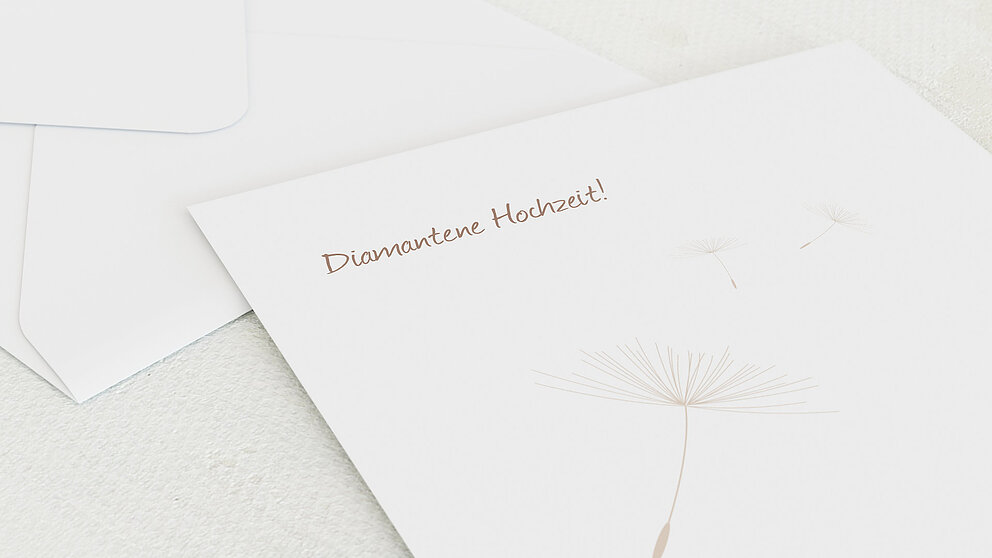 Productafbeelding 12