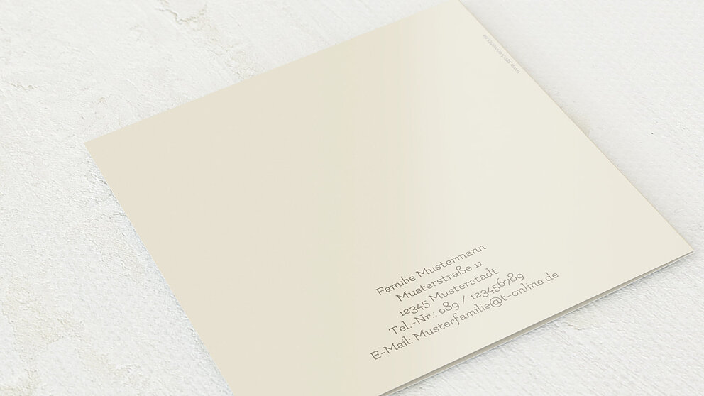 Productafbeelding 12