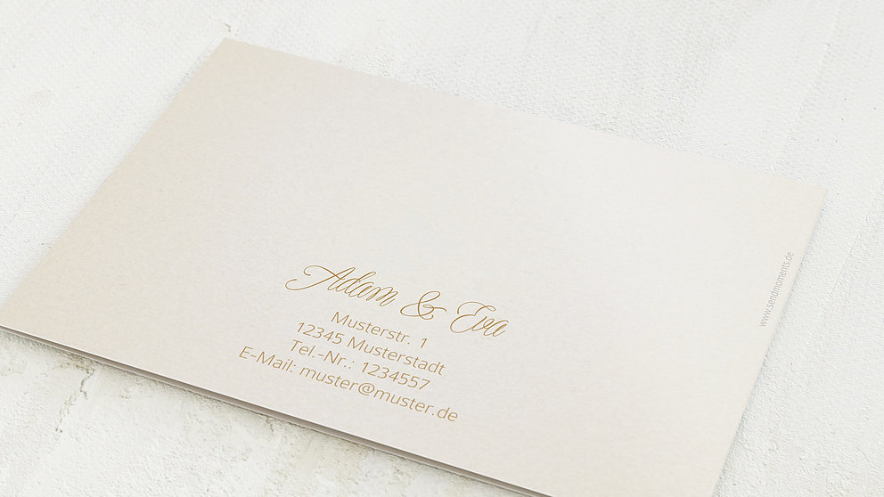 Productafbeelding 12