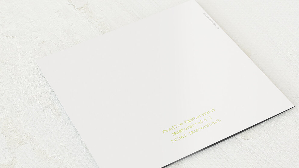 Productafbeelding 12