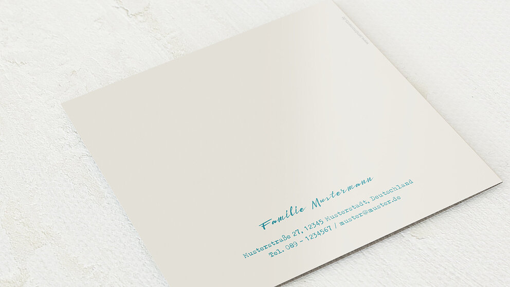 Productafbeelding 12