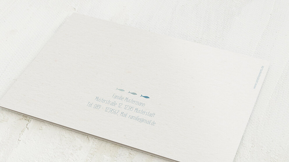 Productafbeelding 12