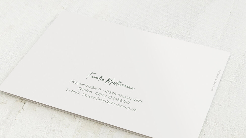 Productafbeelding 12