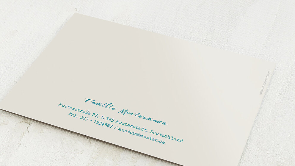 Productafbeelding 12