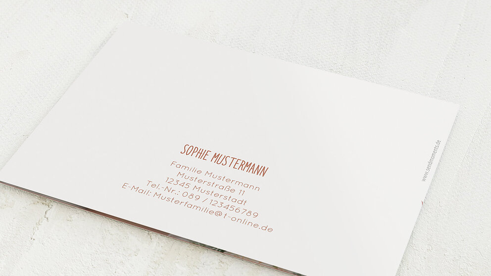 Productafbeelding 12