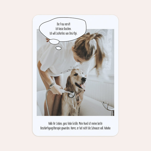 Grußkarten - Hundeschnauze