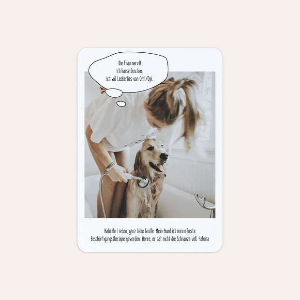 Grußkarten - Hundeschnauze