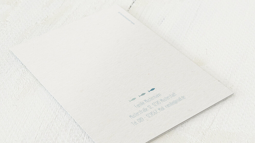 Productafbeelding 12