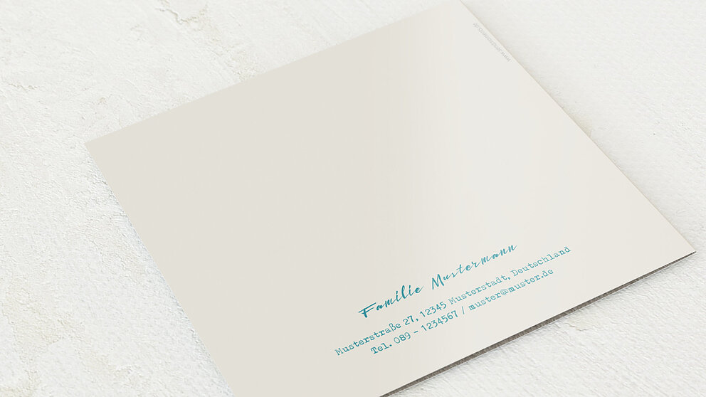 Productafbeelding 12