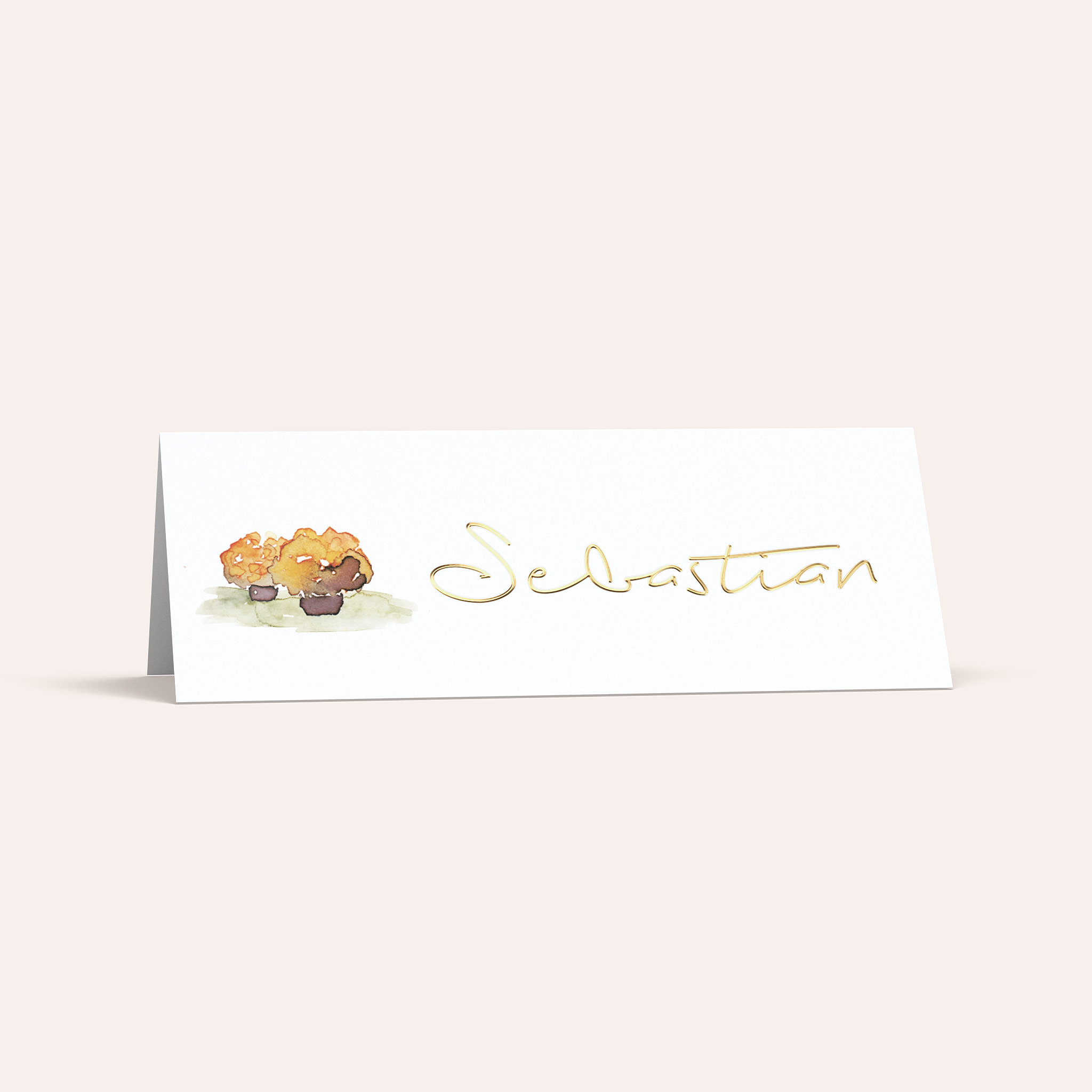 Productafbeelding 1