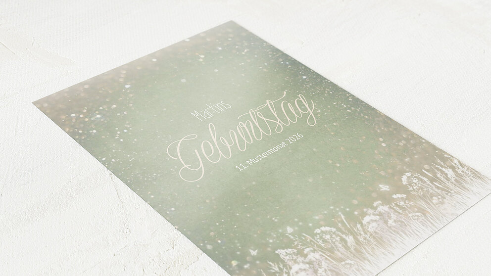 Productafbeelding 12