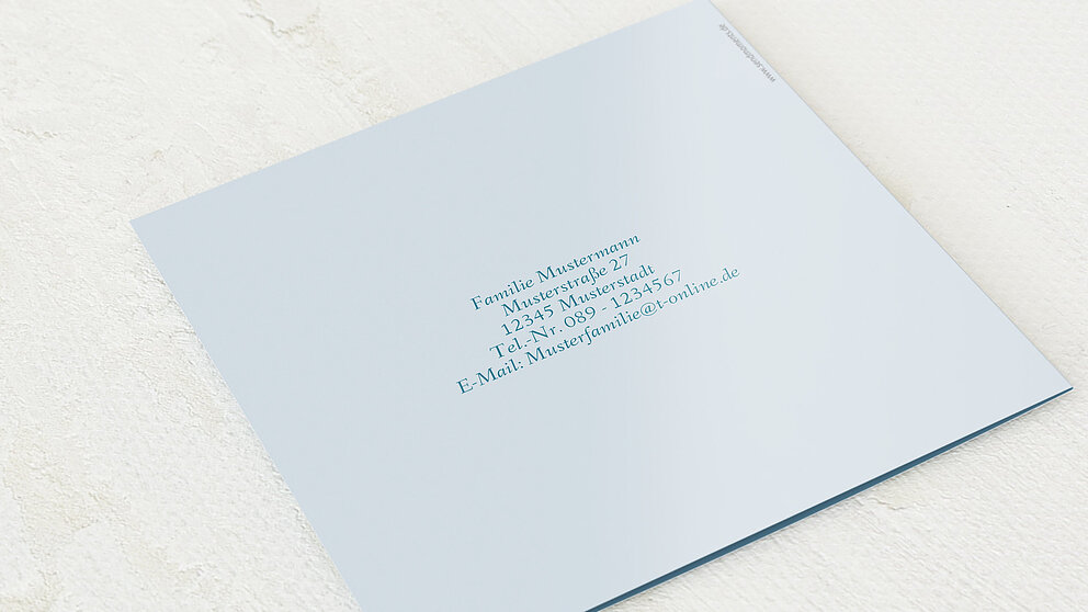 Productafbeelding 42