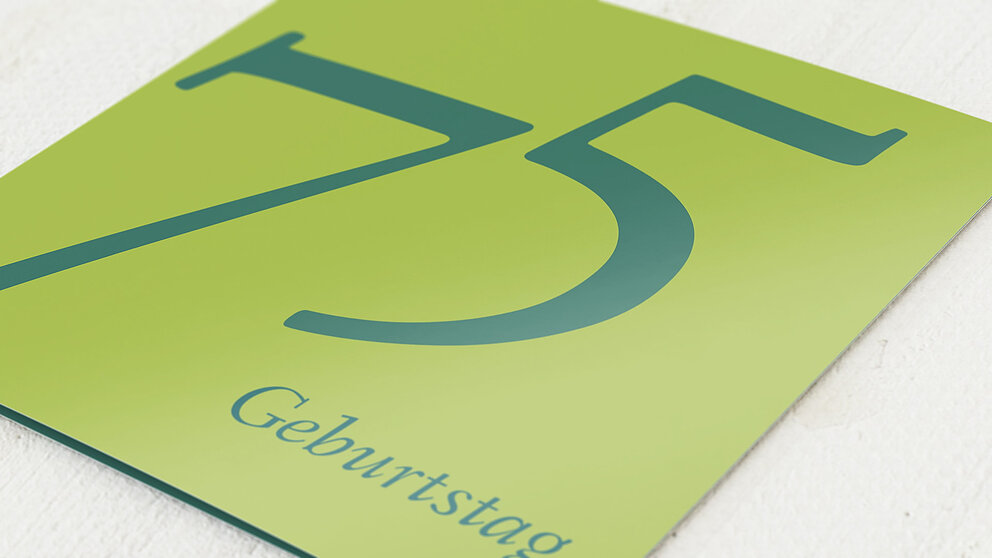 Productafbeelding 33