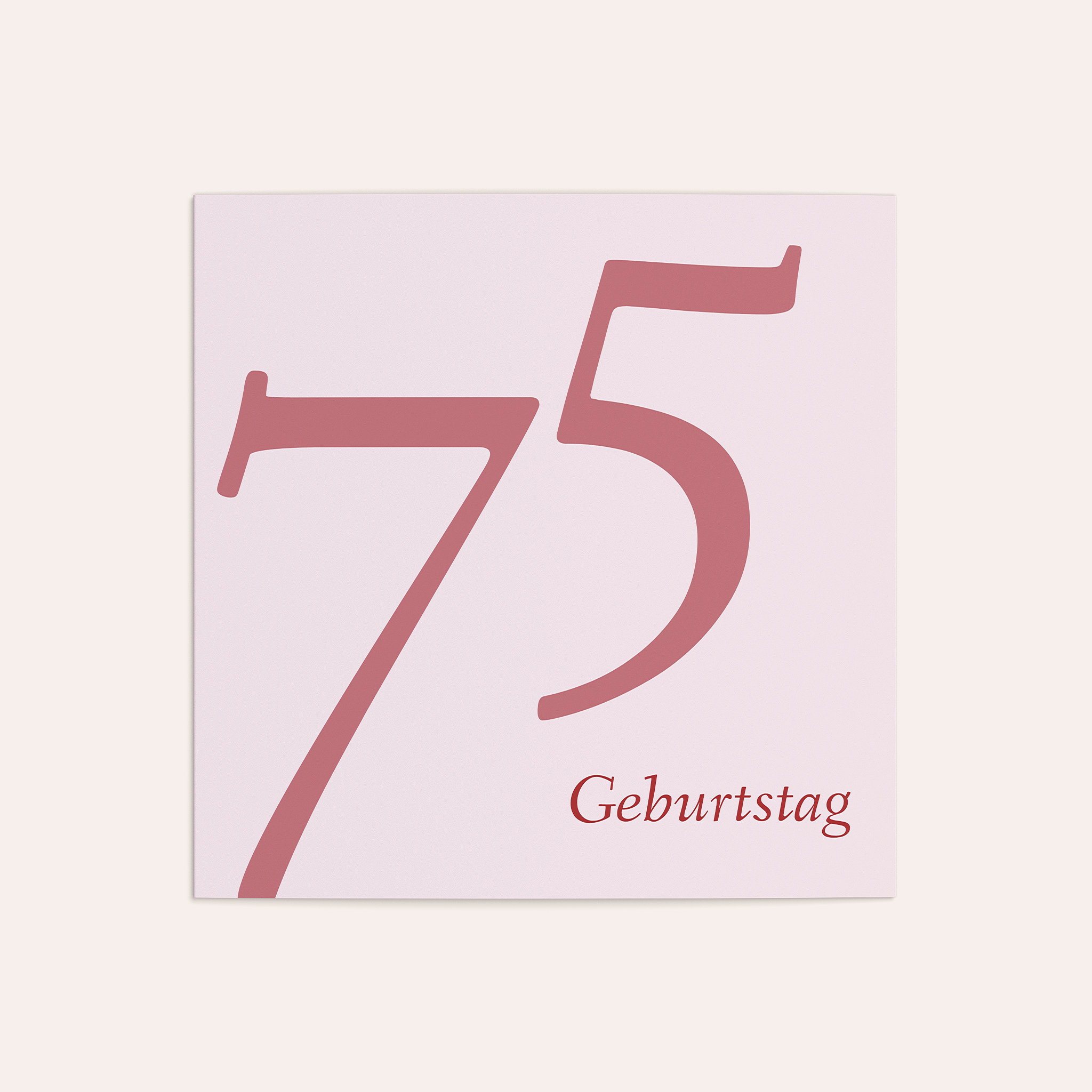 Productafbeelding 13