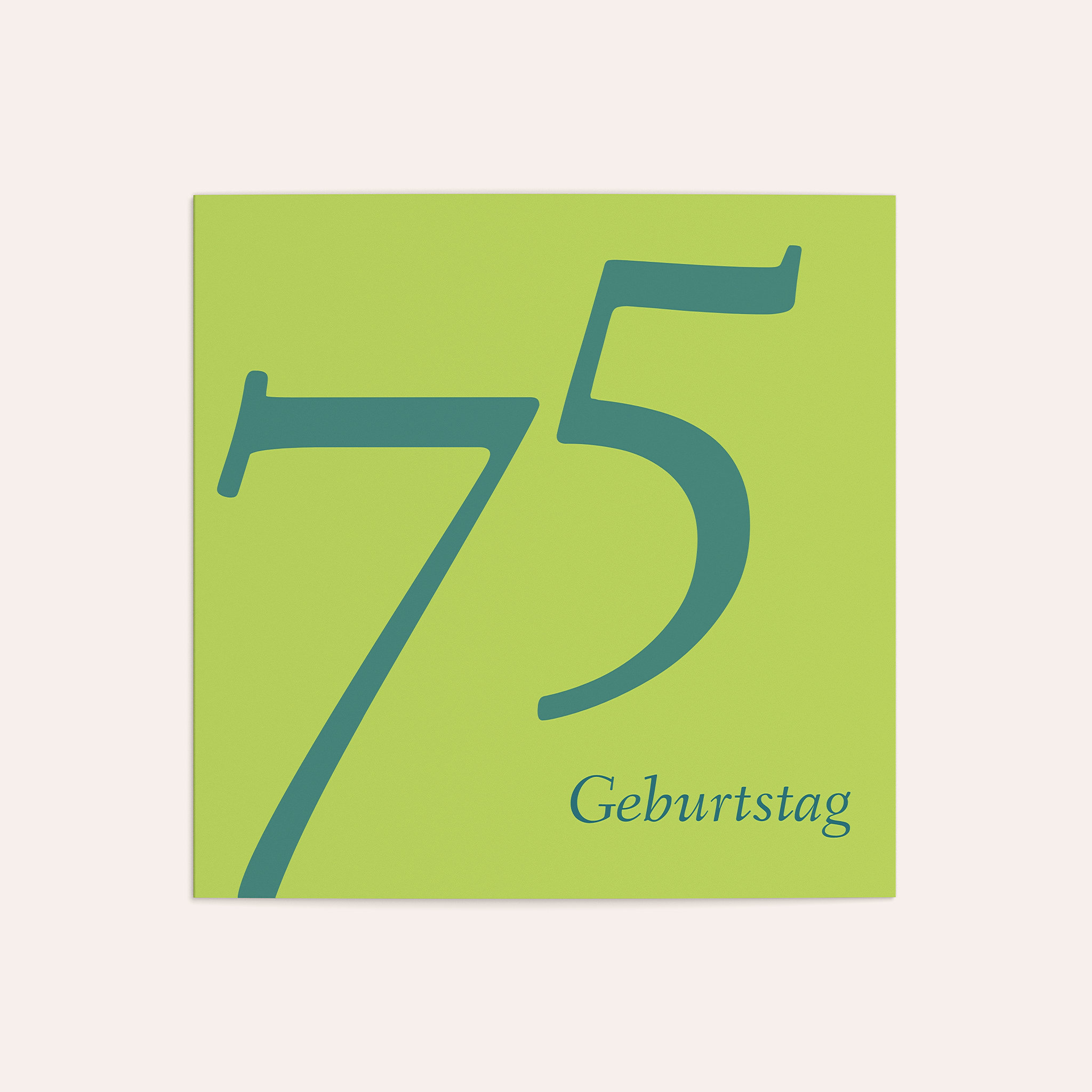 Productafbeelding 31