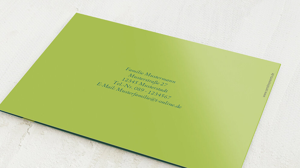 Productafbeelding 36