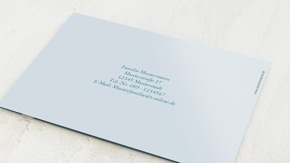 Productafbeelding 42