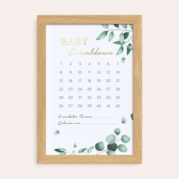 Geschenke Babyparty - Countdown Poster Botanik