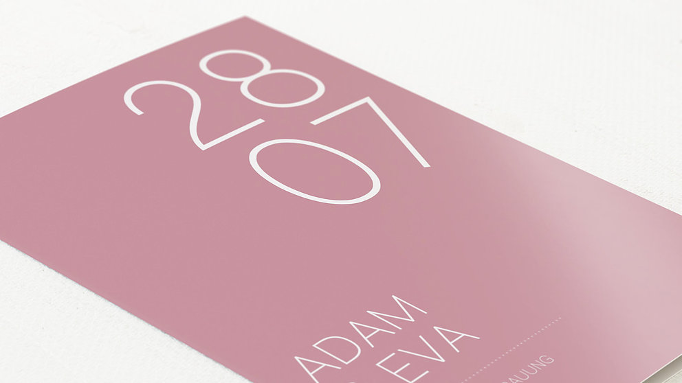 Productafbeelding 16