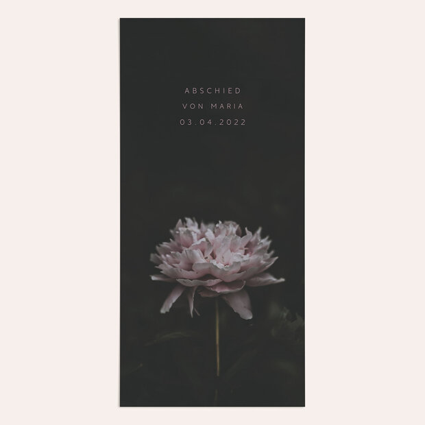 Trauerkarten - Letzte Blüte