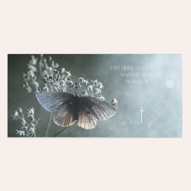 Trauerkarten - Schmetterlingsolo