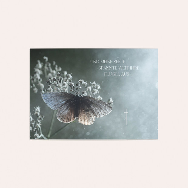 Trauerkarten - Schmetterlingsolo