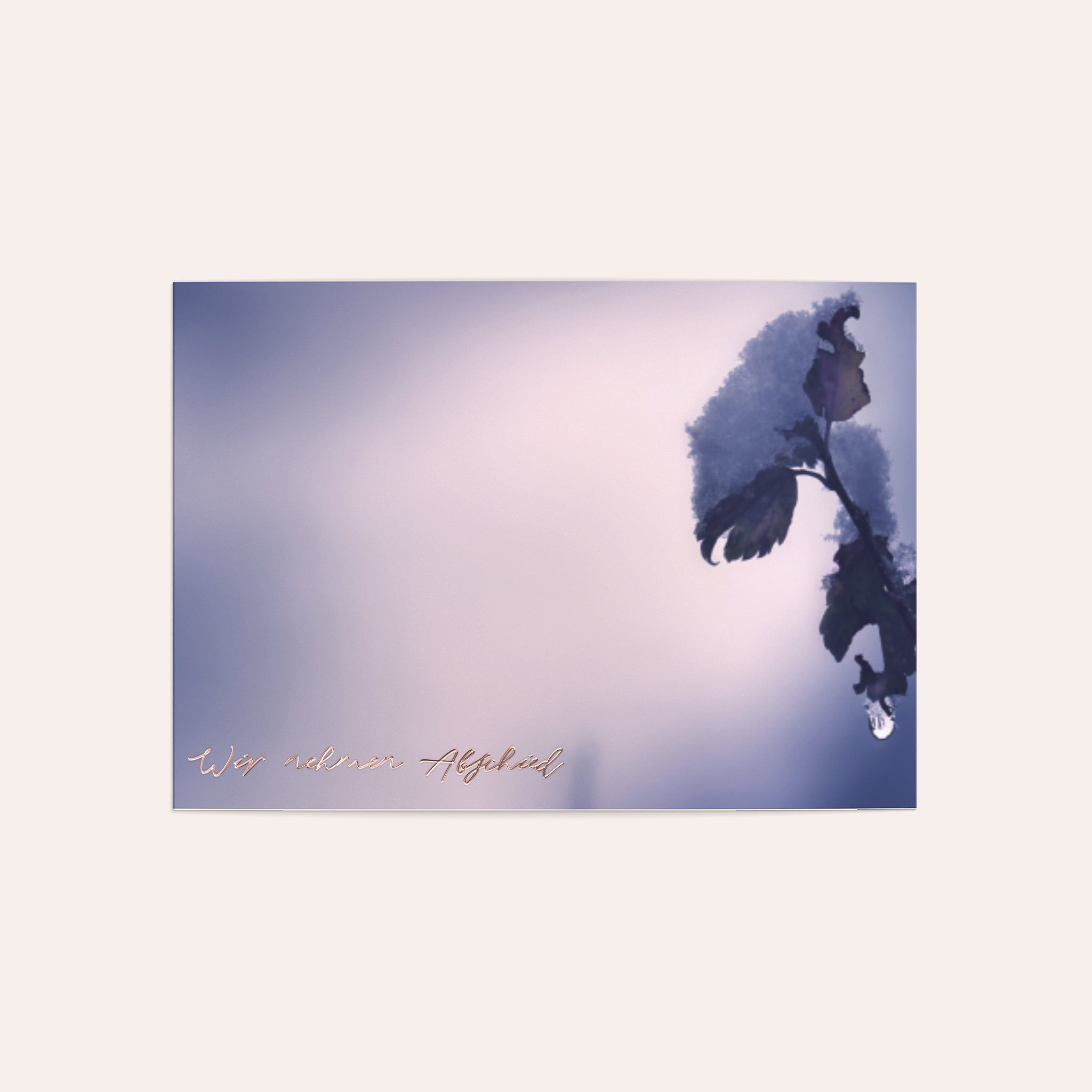 Productafbeelding 1