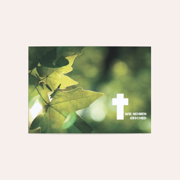 Trauerkarten - Sonnenahorn